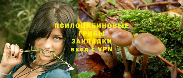 бошки Абдулино
