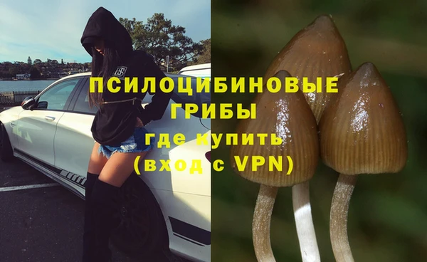 бошки Абдулино