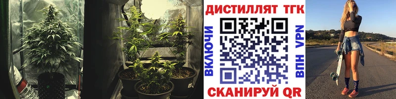 Дистиллят ТГК гашишное масло  как найти закладки  Алатырь 